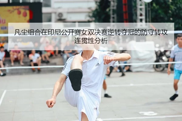 fan-chen-zu-he-zai-yin-ni-gong-kai-sai-nv-shuang-jue-sai-ni-zhuan-duo-guan-de-fang-shou-zhuan-gong-lian-guan-xing-fen-xi-2-172.jpg
