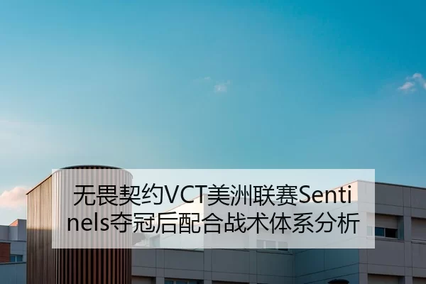 无畏契约VCT美洲联赛Sentinels夺冠后配合战术体系分析